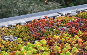 the cost of Soughley green roof installation